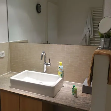 홈스테이 Grosszuegiges Mit Badezimmer In Rheinwohnung *