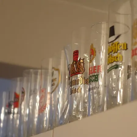 Grosszuegiges Mit Badezimmer In Rheinwohnung 홈스테이