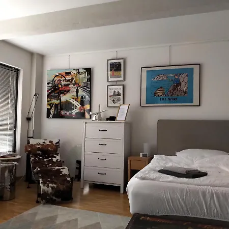 Grosszuegiges Mit Badezimmer In Rheinwohnung 홈스테이 쾰른